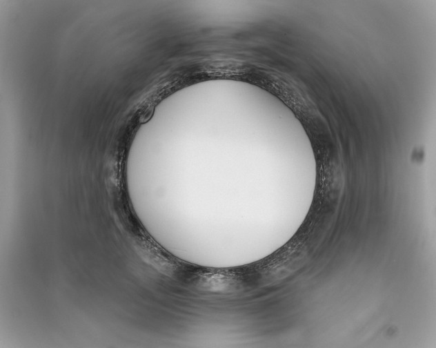 X0000090710755200708101505