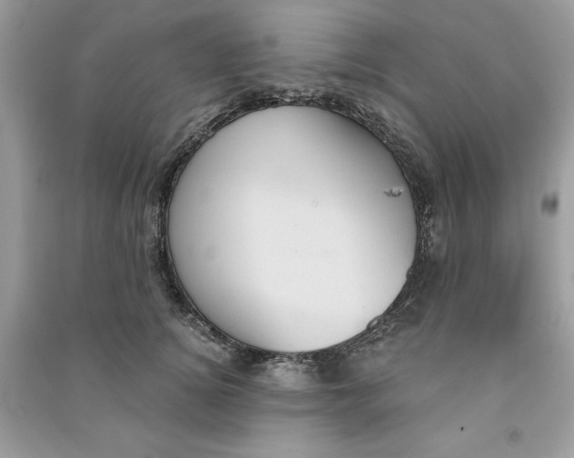 X0000090710756200708101505