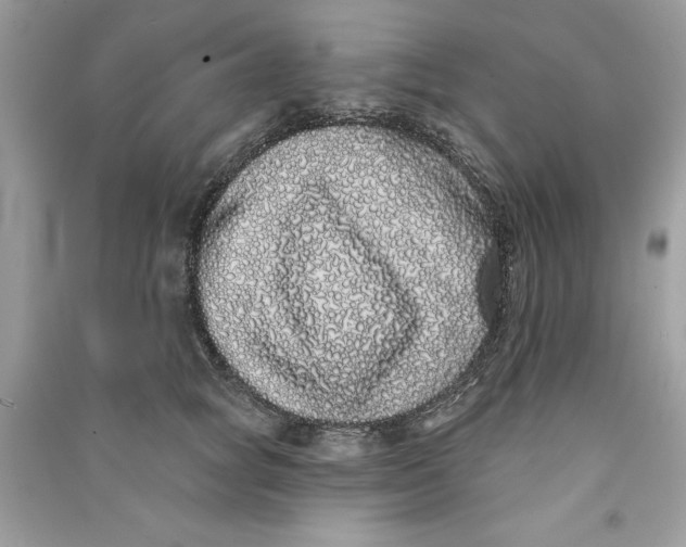 X0000090710757200708101505