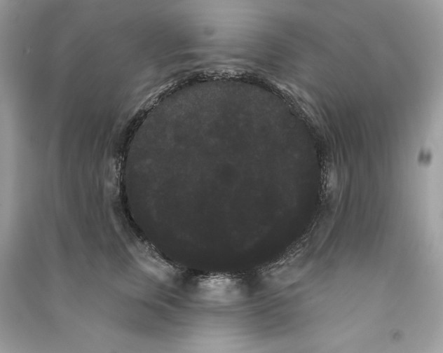 X0000090710759200708101505