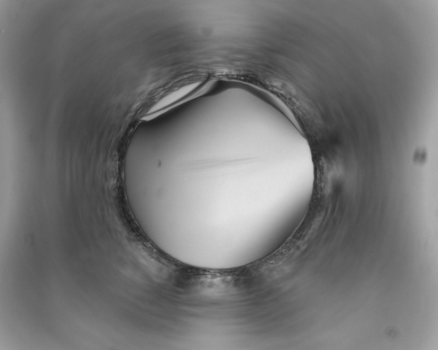 X0000090710760200708101505