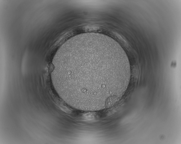 X0000090710761200708101505