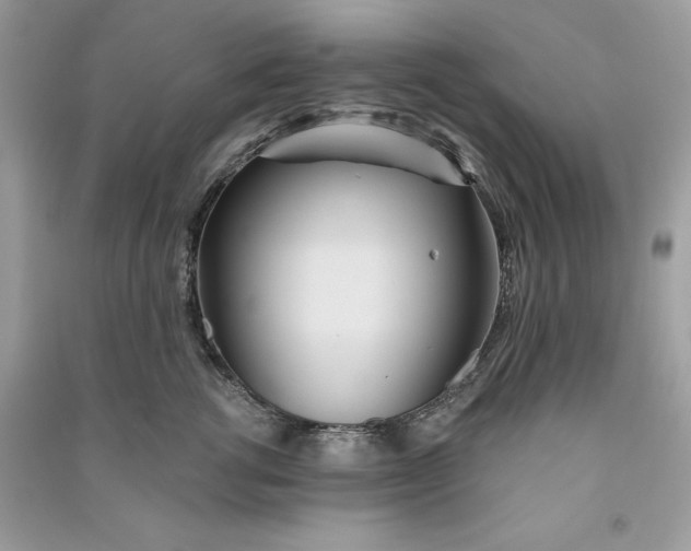 X0000090710762200708101505