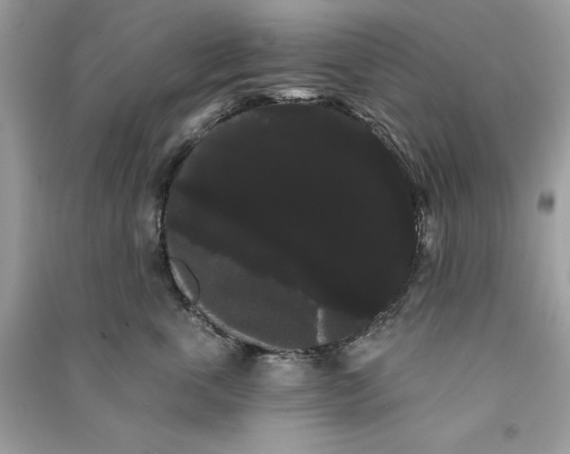 X0000090710763200708101505