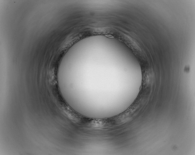 X0000090710764200708101505