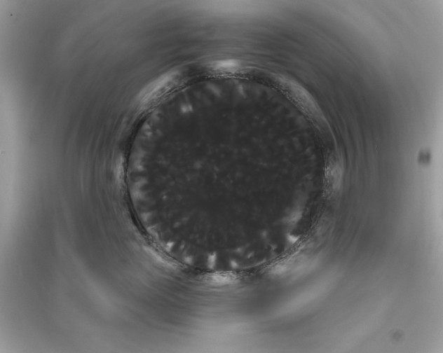 X0000090710765200708101505