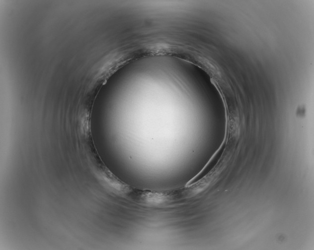 X0000090710766200708101505