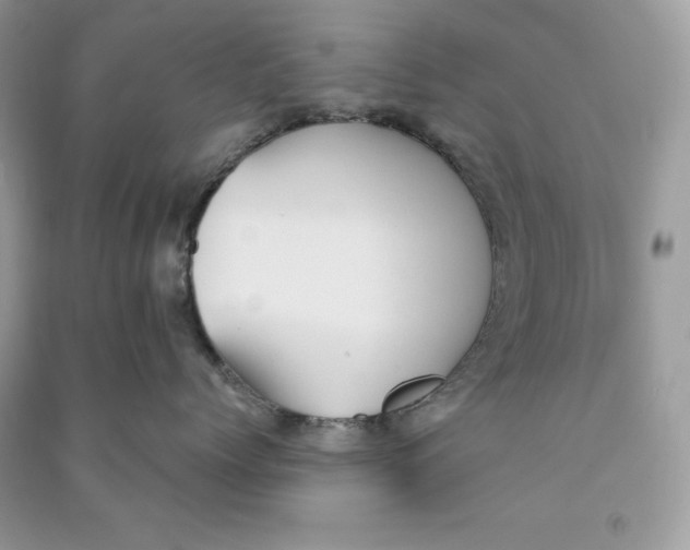 X0000090710768200708101505