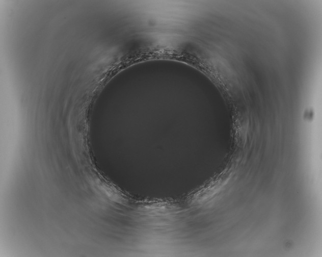 X0000090710769200708101505