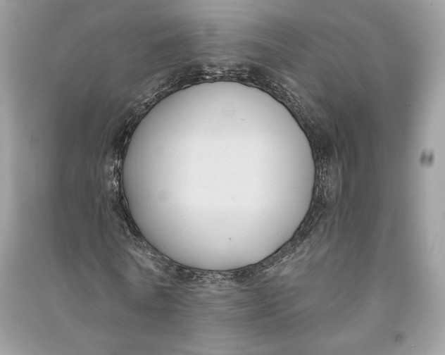 X0000090710770200708101505