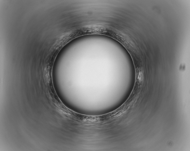 X0000090710771200708101505