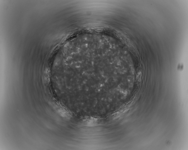 X0000090710772200708101505