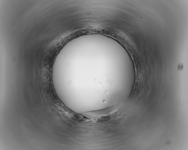 X0000090710773200708101505