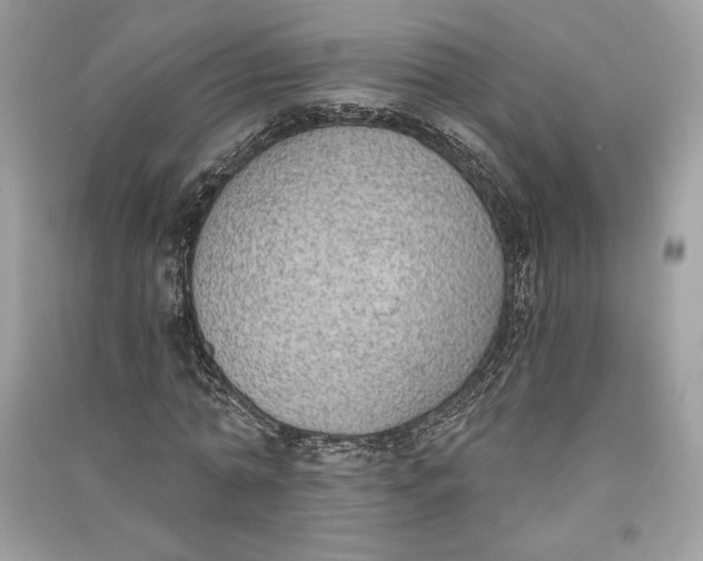 X0000090710774200708101505