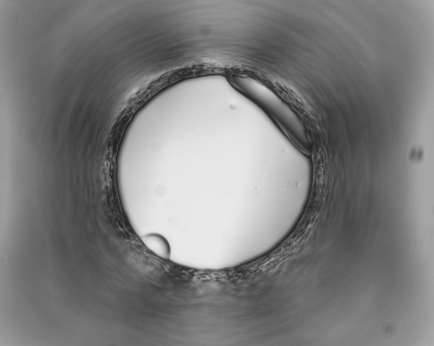 X0000090710776200708101505