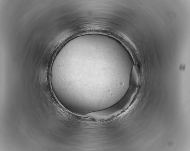 X0000090710777200708101505