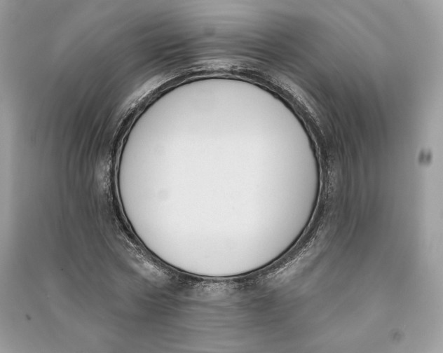 X0000090710778200708101505