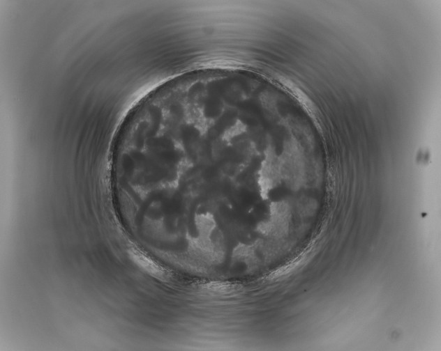 X0000090710779200708101505