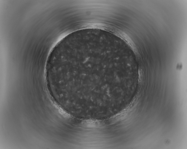 X0000090710780200708101505