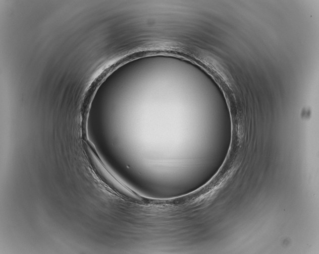 X0000090710781200708101505