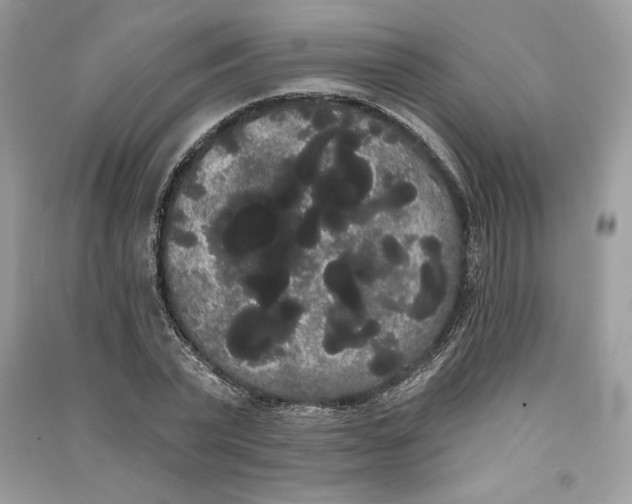 X0000090710783200708101504