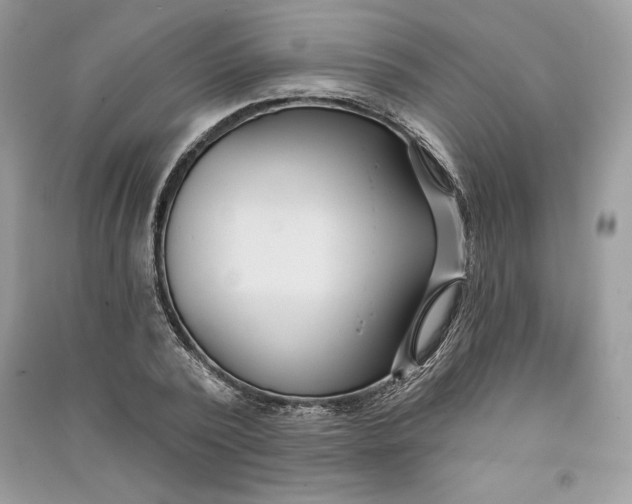 X0000090710784200708101504