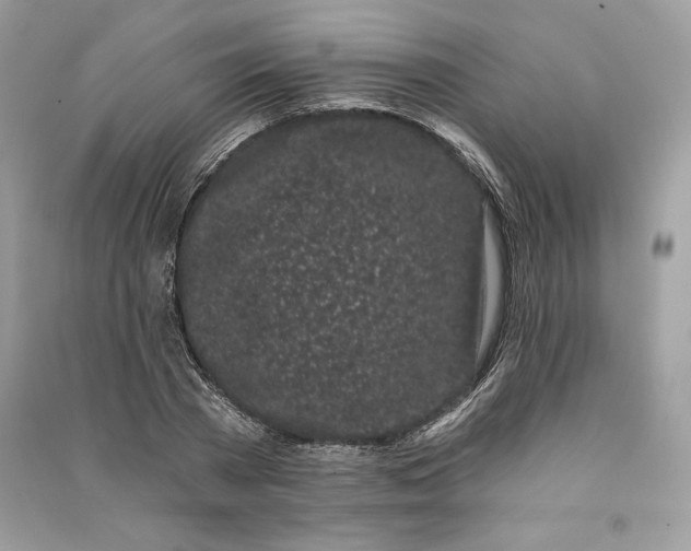 X0000090710785200708101504