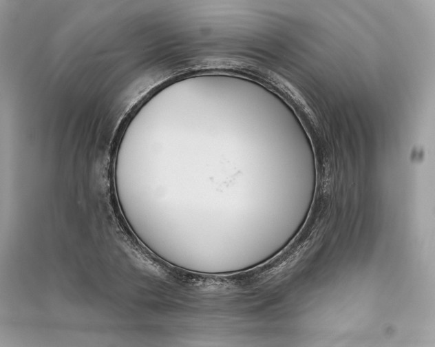 X0000090710786200708101504