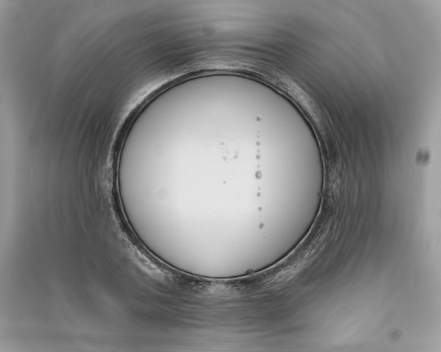 X0000090710787200708101504