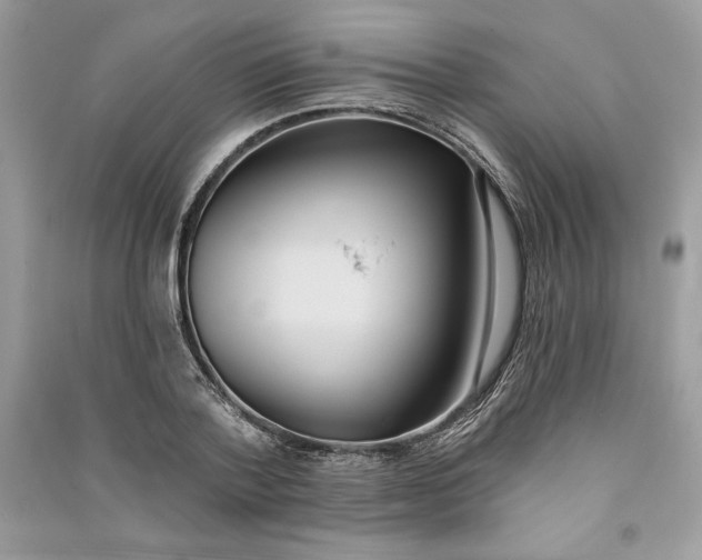 X0000090710788200708101504