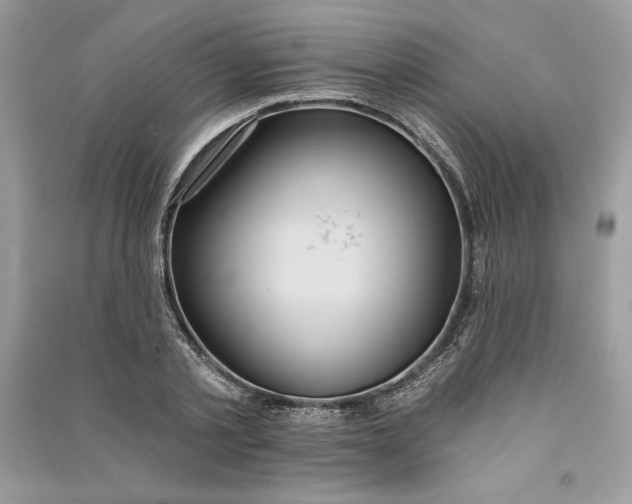 X0000090710789200708101504