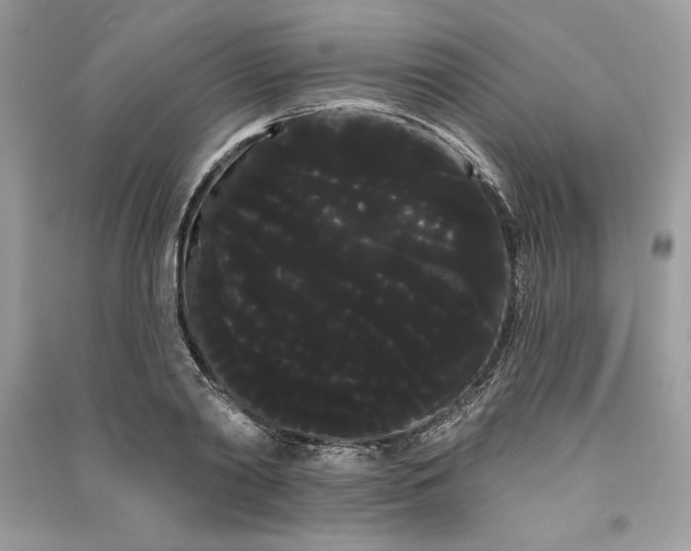 X0000090710790200708101504