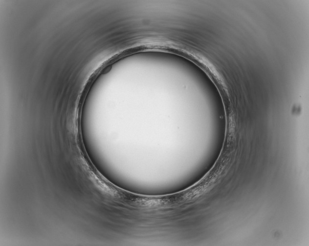 X0000090710791200708101504