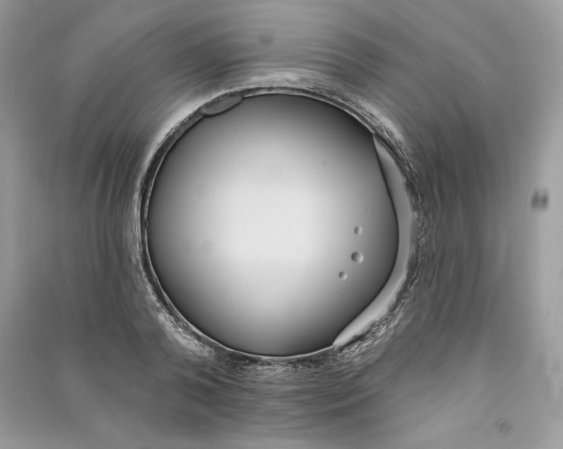 X0000090710792200708101504