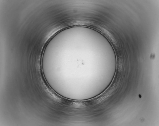 X0000090710794200708101504