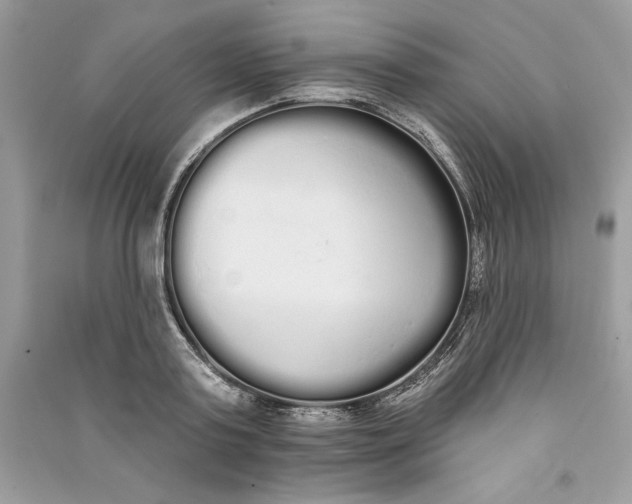 X0000090710795200708101504