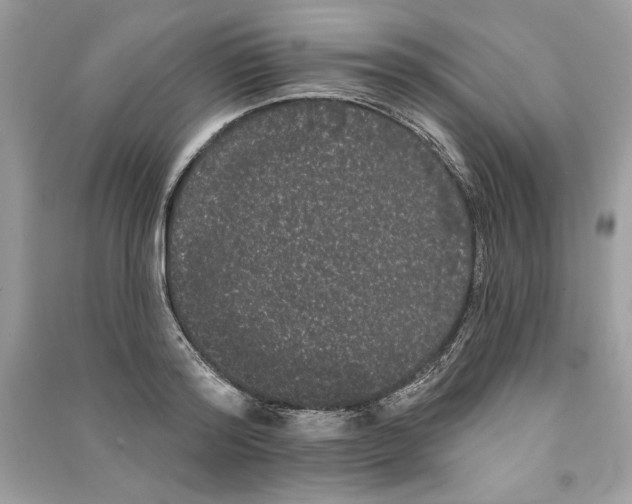 X0000090710796200708101504