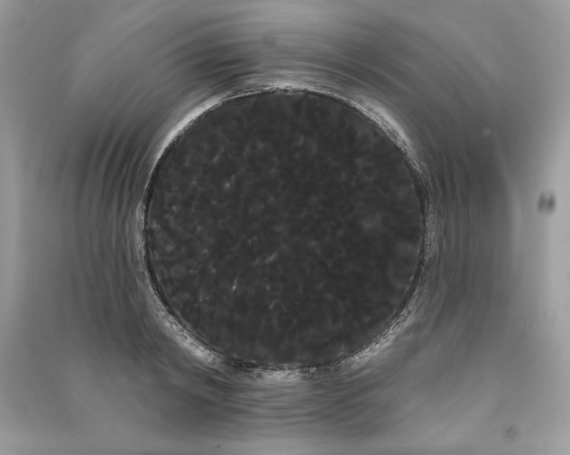 X0000090710798200708101504