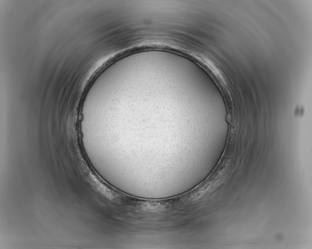 X0000090710799200708101504