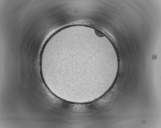 X0000090710800200708101504