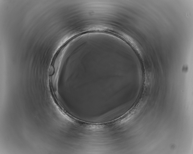 X0000090710802200708101504