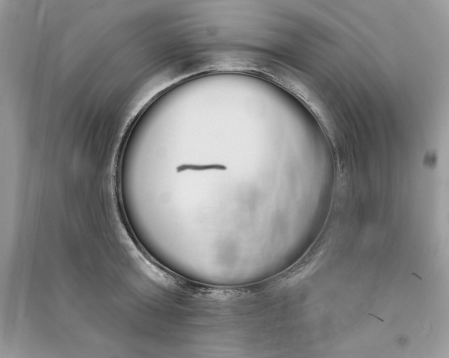 X0000090710803200708101504