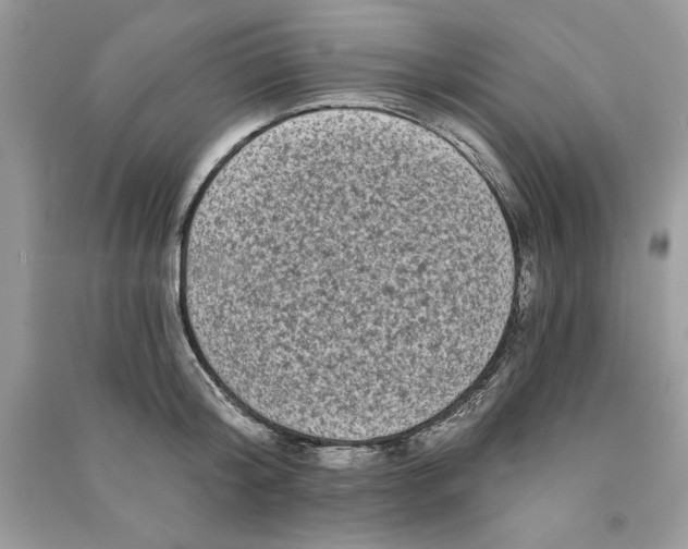 X0000090710804200708101504