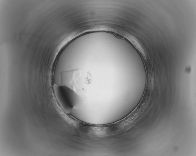 X0000090710805200708101504