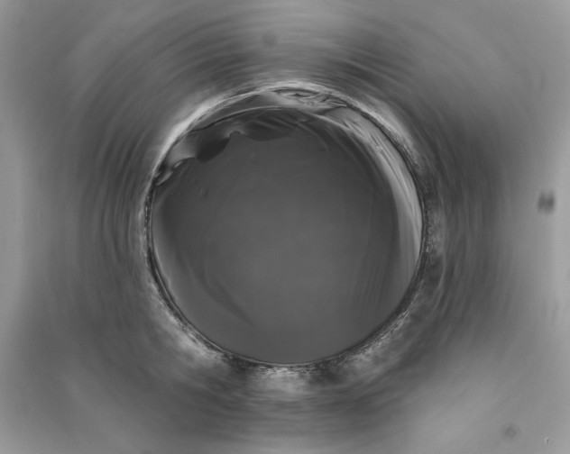 X0000090710806200708101504