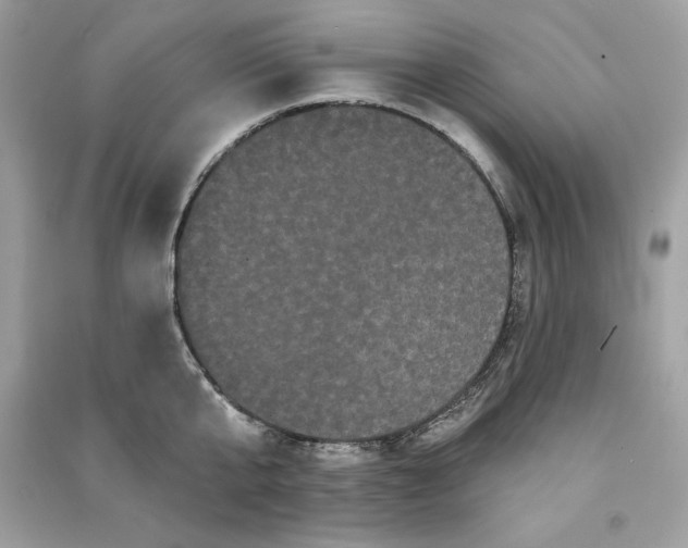 X0000090710807200708101504