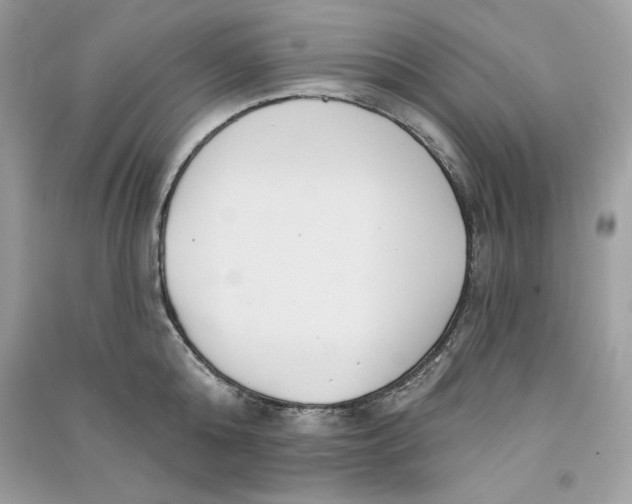 X0000090710808200708101504