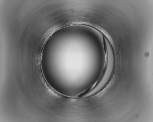 X0000090710809200708101504