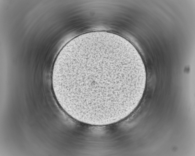 X0000090710810200708101504