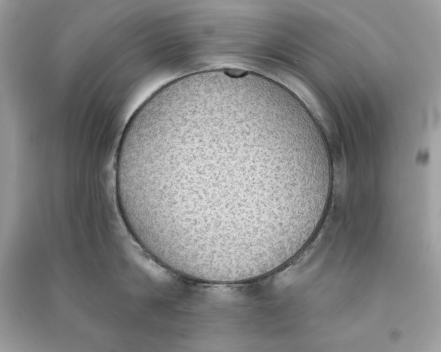 X0000090710814200708101504